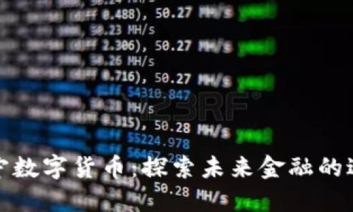 朱宁数字货币：探索未来金融的边界