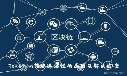 Tokenim转账速度慢的原因及解决方案