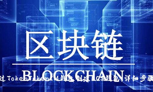 如何通过TokenTokenIM钱包创建EOS钱包：详细步骤与技巧