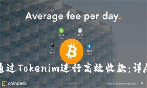 如何通过Tokenim进行高效收款：详尽指南