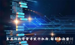 真正的数字货币发行机构