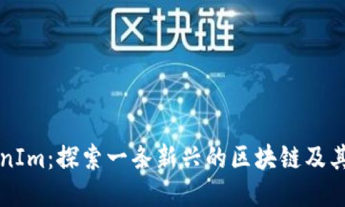 TokenIm：探索一条新兴的区块链及其应用