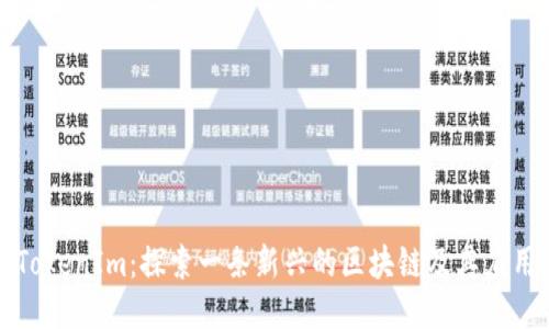 TokenIm：探索一条新兴的区块链及其应用