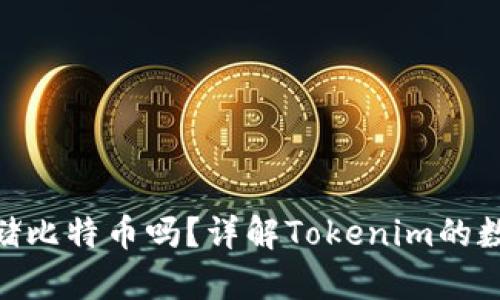 Tokenim可以存储比特币吗？详解Tokenim的数字资产管理能力