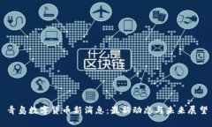 青岛数字货币新消息：最