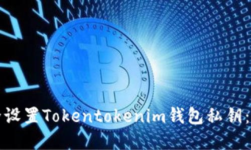 如何安全设置Tokentokenim钱包私钥：完整指南