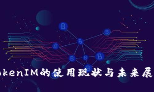 TokenIM的使用现状与未来展望