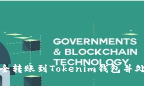 如何将资金安全转账到Tokenim钱包并处理遇到的问题