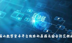 国内数字货币平台跑路的