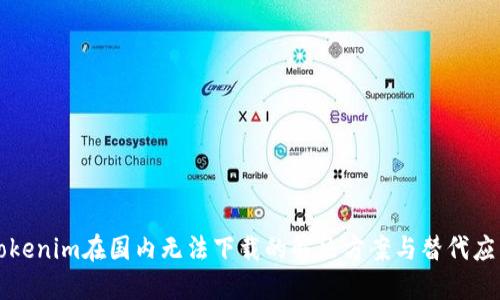Tokenim在国内无法下载的解决方案与替代应用