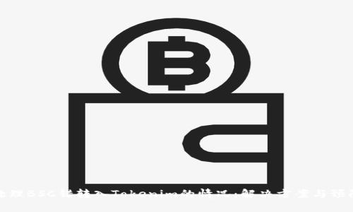 如何处理BSC错转入Tokenim的情况：解决方案与预防措施