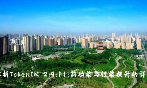 全面解析TokenIM 2.9.11：新功能与性能提升的详细探讨