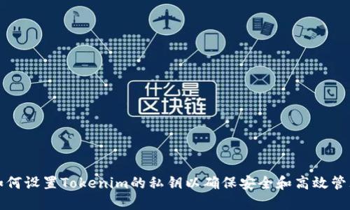 如何设置Tokenim的私钥以确保安全和高效管理
