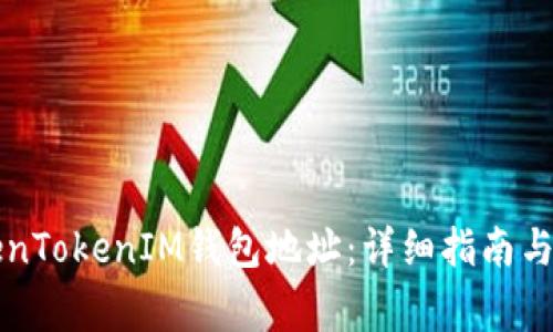 如何查看TokenTokenIM钱包地址：详细指南与常见问题解析