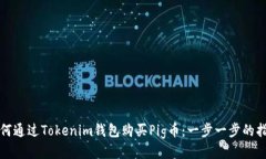 如何通过Tokenim钱包购买