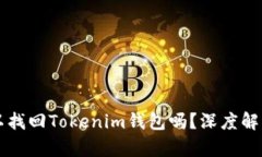 只有私钥可以找回Tokenim钱
