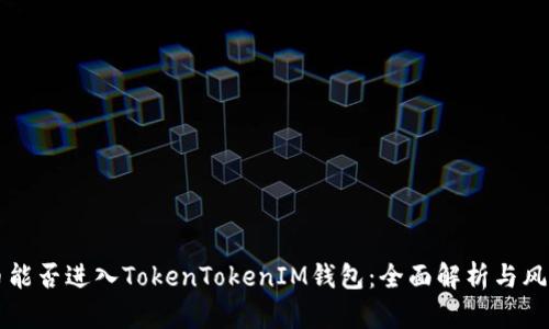 传销币能否进入TokenTokenIM钱包：全面解析与风险分析