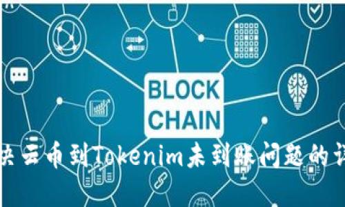 如何解决云币到Tokenim未到账问题的详细指南