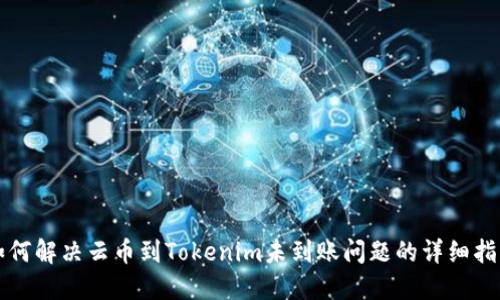 如何解决云币到Tokenim未到账问题的详细指南