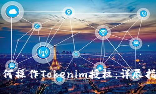 如何操作Tokenim授权：详尽指南