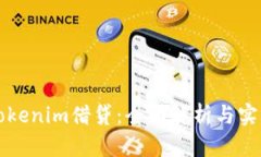 如何Tokenim借贷：全面解析