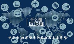 中华币：数字货币的崛起