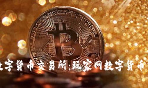 如何选择适合的数字货币交易所：玩家网数字货币交易所的全面解析