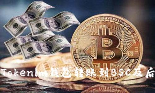 如何成功将Tokenim钱包转账到BSC及后续操作指南
