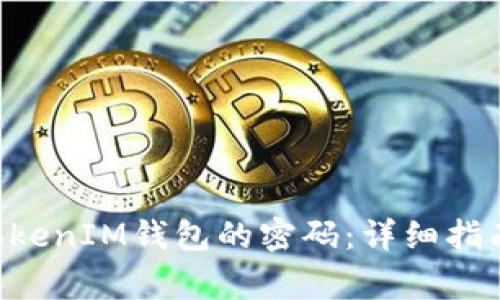 如何修改TokenTokenIM钱包的密码：详细指南与常见问题解答