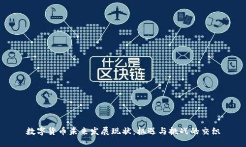 数字货币未来发展现状：机遇与挑战的交织