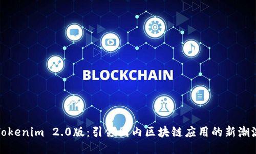 Tokenim 2.0版：引领国内区块链应用的新潮流