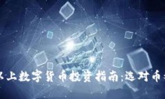 2023年B级以上数字货币投资