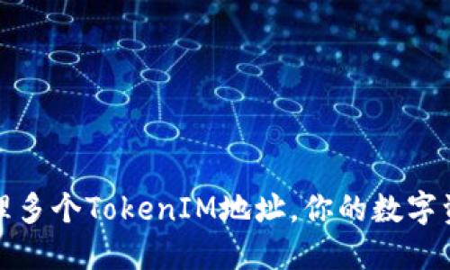 如何安全管理多个TokenIM地址，你的数字资产管理策略