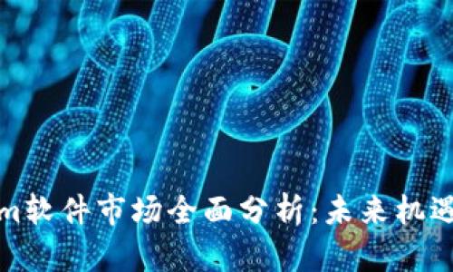 Tokenim软件市场全面分析：未来机遇与挑战