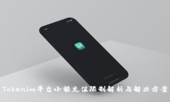 Tokenim平台小额充值限制解
