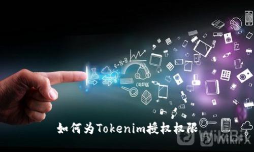 如何为Tokenim授权权限