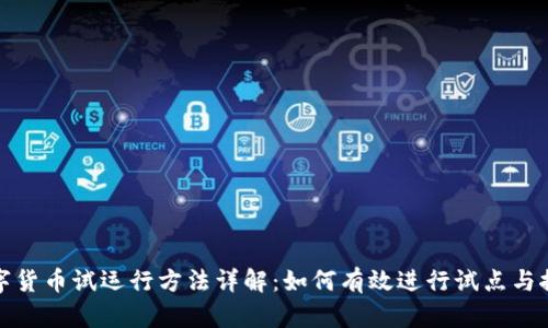 数字货币试运行方法详解：如何有效进行试点与推广
