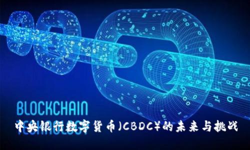 中央银行数字货币（CBDC）的未来与挑战