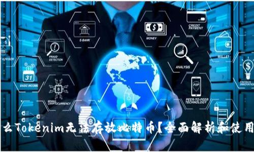 为什么Tokenim无法存放比特币？全面解析和使用指南