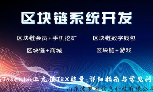 如何在Tokenim上充值TRX能量：详细指南与常见问题解答