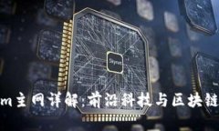 Tokenim主网详解：前沿科技