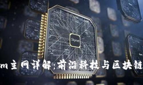 Tokenim主网详解：前沿科技与区块链的融合