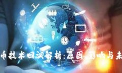数字货币技术回调解析：