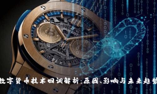 数字货币技术回调解析：原因、影响与未来趋势