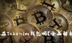 USDT可以放在Tokenim钱包吗？