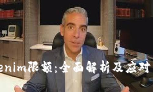 Tokenim限额：全面解析及应对策略