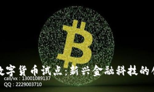 优博讯数字货币试点：新兴金融科技的创新之路