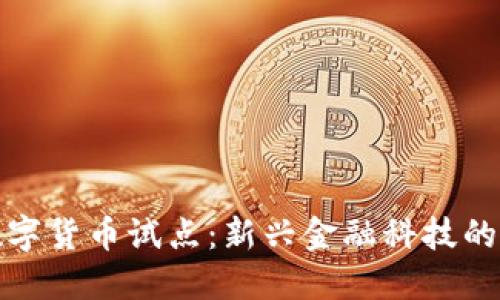 优博讯数字货币试点：新兴金融科技的创新之路