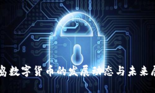 青岛数字货币的发展动态与未来展望