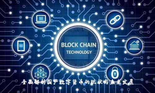 全面解析国产数字货币的现状与未来发展